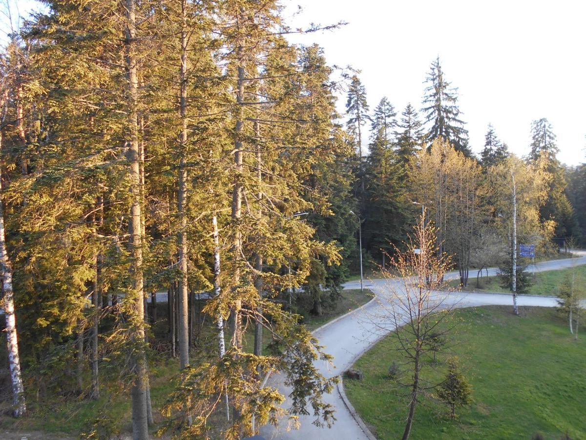 Nice Studio In "Borovets Gardens" Hotel Extérieur photo